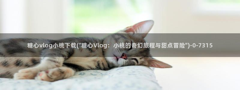 渡己糖心在线vlog