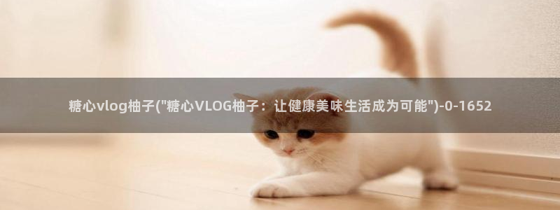 糖心vlog缓存