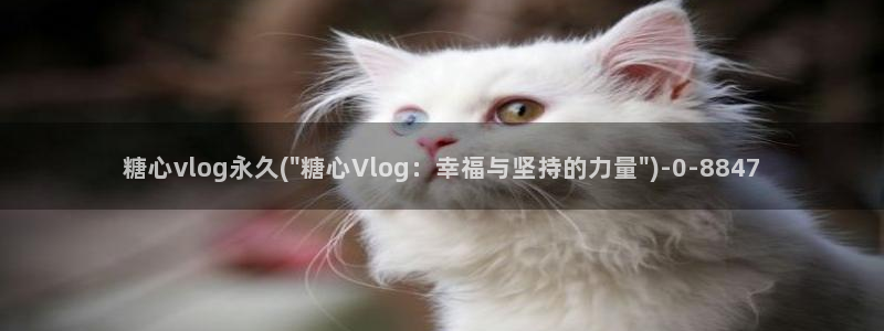 糖心vlog主播介绍