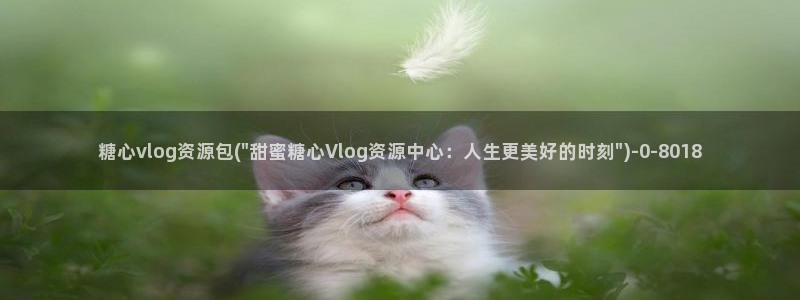 糖心vlog传媒作品