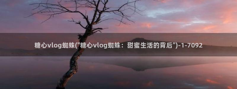 糖心vlog进不去