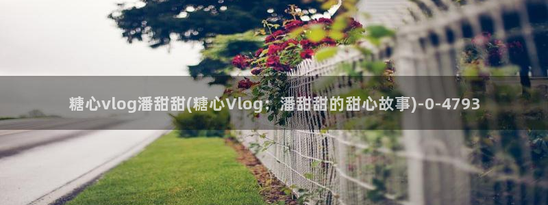 糖心小桃vlog资源