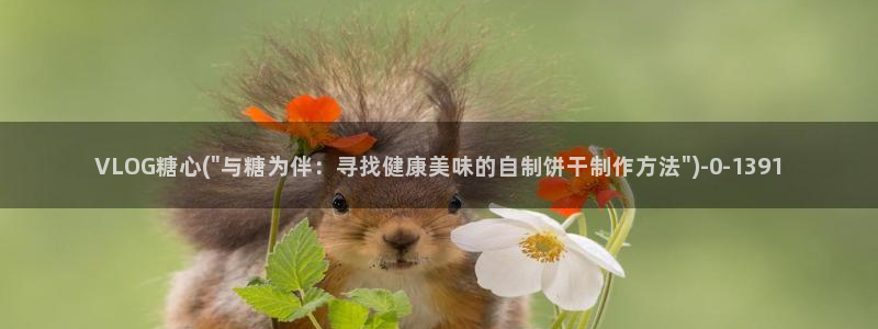 下载糖心vlog会怎样