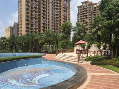 治愈生活VLOG文章介绍