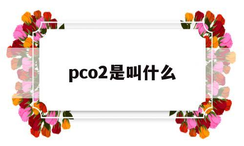pco2是叫什么(pco2是什么化学名称)