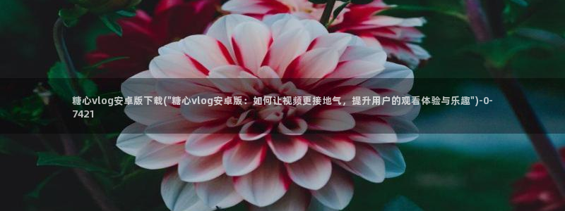 糖心vlog是什么意思：糖心vlog安卓版下载(\