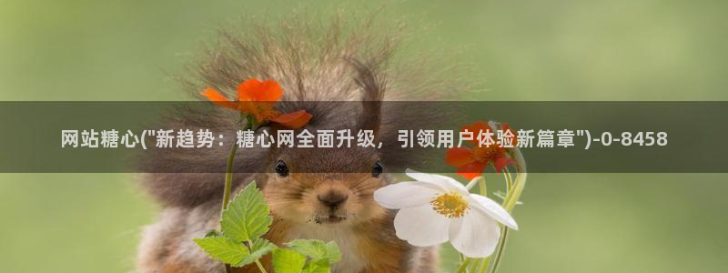 糖心vlog破：网站糖心(\