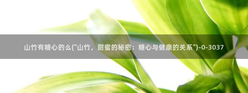 糖的vlog