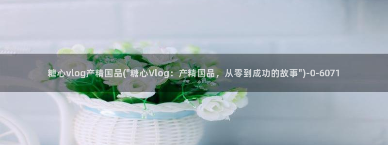 九一糖心vlog