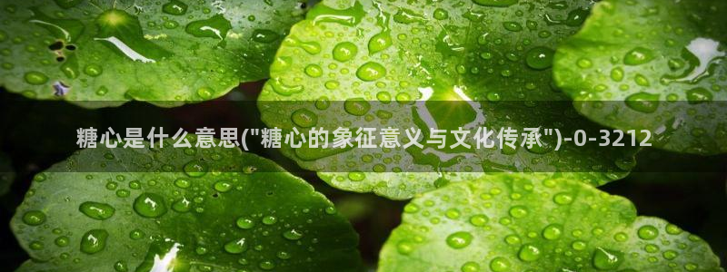 糖心vlog女