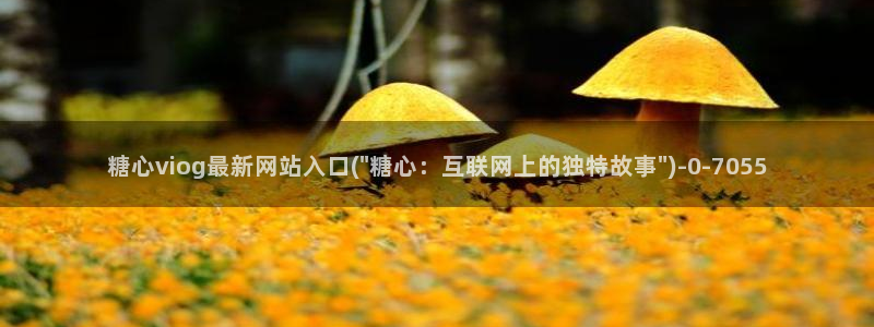 糖心vlog免费版本