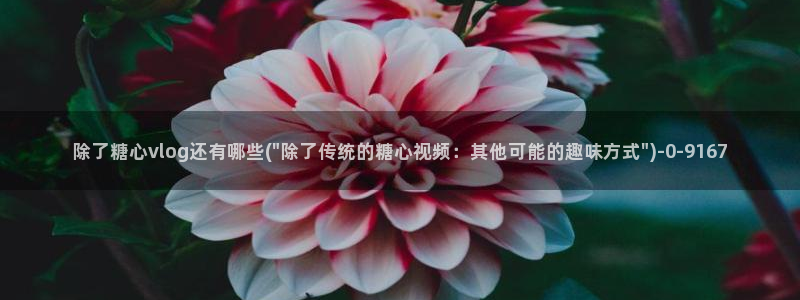 糖心vlog深夜释放自己vlog：除了糖心vlog还有哪些(